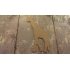 MDF 106  MDF Giraffe ca. 10 cm